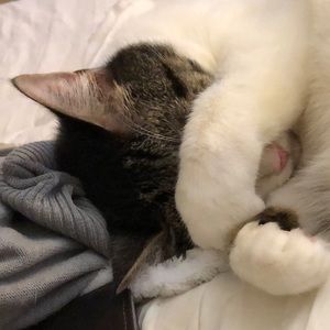 Meet your Posher, William